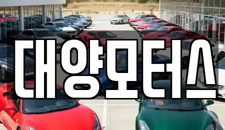 전남 광양시 성황동 중고차 전문 대양모터스