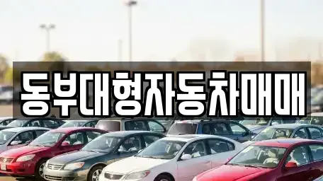 전남 광양시 옥곡면 중고차 전문 동부대형자동차매매