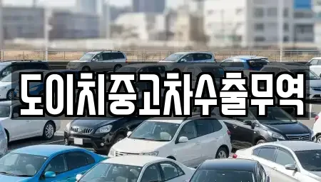 전남 구례군 토지면 중고차,렌트카,중고차매입,중고차매매,장기렌트카,단기렌트카