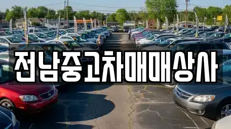 전남 구례군 토지면 중고차 전문 전남중고차매매상사