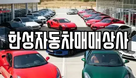 전남 나주시 노안면 중고차 전문 한성자동차매매상사
