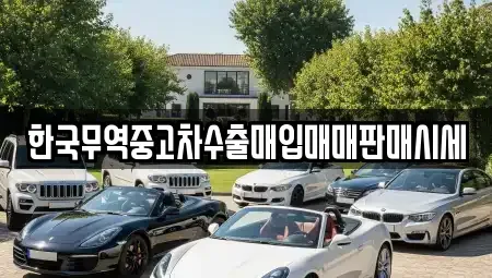 전남 나주시 오량동 렌트카,단기렌트카,장기렌트카,중고차,중고차매매,중고차매입