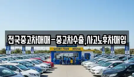 전남 목포시 광동3가 중고차 전문 전국중고차매매-중고차수출,사고노후차매입