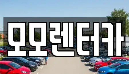 전남 여수시 문수동 렌트카 전문 모모렌터카
