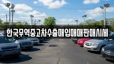 전남 여수시 문수동 중고차매매 전문 한국무역중고차수출매입매매판매시세