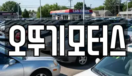 전남 영암군 신북면 중고차매매 전문 오뚜기모터스