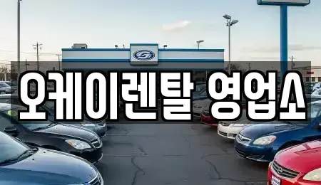 전남 장흥군 부산면 렌트카 전문 오케이렌탈 영업소