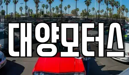 전남 장흥군 부산면 중고차 전문 대양모터스