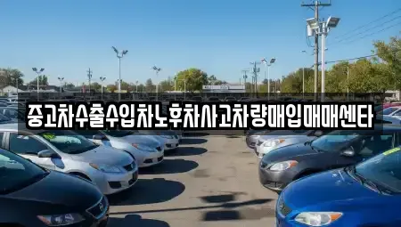 전라남도 곡성군 곡성읍 중고차매입 전문 중고차수출수입차노후차사고차량매입매매센타