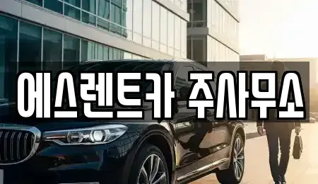 전라남도 나주시 금천면 렌트카 전문 에스렌트카 주사무소