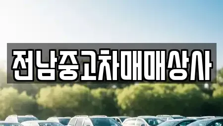전라남도 나주시 금천면 중고차매매 전문 전남중고차매매상사