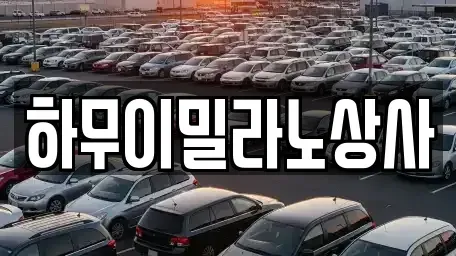 전라남도 나주시 금천면 중고차매매 전문 하무이밀라노상사