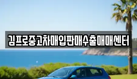 전라남도 나주시 금천면 중고차매입 전문 김프로중고차매입판매수출매매센터
