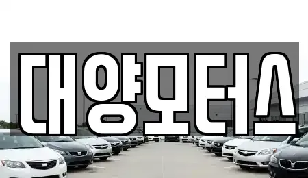 전라남도 나주시 왕곡면 중고차 전문 대양모터스
