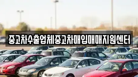 전라남도 나주시 왕곡면 중고차 전문 중고차수출업체중고차매입매매지원센터
