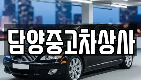 전라남도 담양군 중고차 전문 담양중고차상사