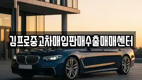 전라남도 목포시 중동1가 중고차매입 전문 김프로중고차매입판매수출매매센터
