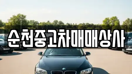 전라남도 순천시 인제동 중고차매매,단기렌트카,중고차매입,장기렌트카,중고차,렌트카