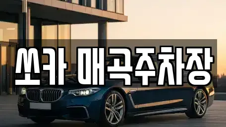 전라남도 순천시 행동 렌트카 전문 쏘카 매곡주차장