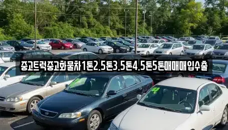 전라남도 신안군 신의면 단기렌트카,중고차매입,중고차매매,중고차,렌트카,장기렌트카