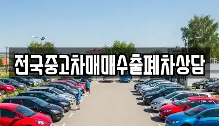 전라남도 신안군 압해읍 중고차 전문 전국중고차매매수출폐차상담