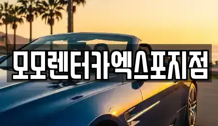 전라남도 여수시 군자동 렌트카 전문 모모렌터카엑스포지점