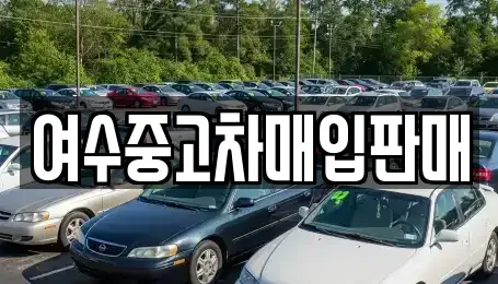 전라남도 여수시 군자동 중고차 전문 여수중고차매입판매
