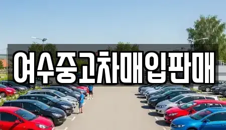 전라남도 여수시 돌산읍 중고차매입 전문 여수중고차매입판매