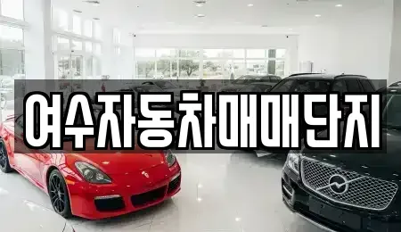 전라남도 여수시 중고차 전문 여수자동차매매단지