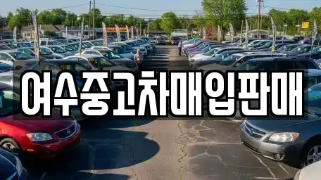 전라남도 여수시 중고차매입 전문 여수중고차매입판매