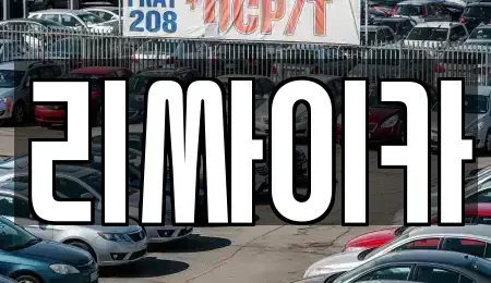 전라남도 여수시 화양면 중고차 전문 리싸이카