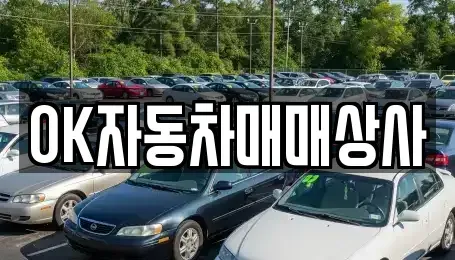 전라남도 여수시 화양면 중고차매매 전문 OK자동차매매상사