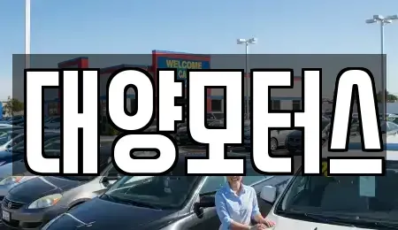 전라남도 여수시 화양면 중고차매매 전문 대양모터스