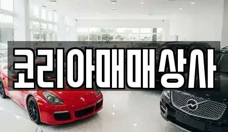 전라남도 여수시 화양면 중고차매매 전문 코리아매매상사
