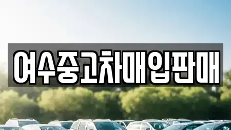 전라남도 여수시 화양면 단기렌트카,중고차매입,중고차매매,중고차,렌트카,장기렌트카