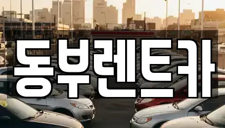 전라남도 완도군 신지면 렌트카,단기렌트카,장기렌트카,중고차,중고차매매,중고차매입