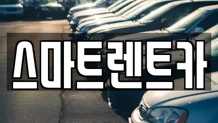 전라남도 완도군 신지면 렌트카 전문 스마트렌트카