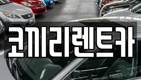 전라남도 완도군 신지면 렌트카 전문 코끼리렌트카