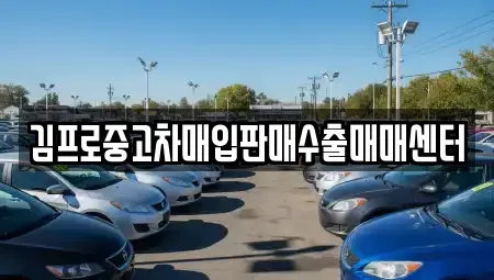 전라남도 완도군 신지면 중고차 전문 김프로중고차매입판매수출매매센터