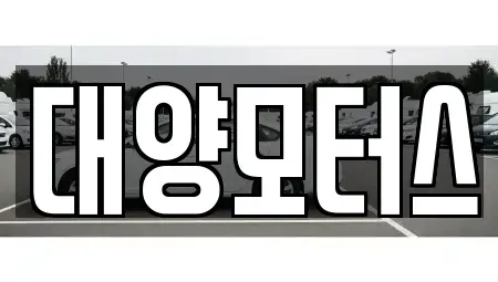 전라남도 완도군 신지면 중고차 전문 대양모터스