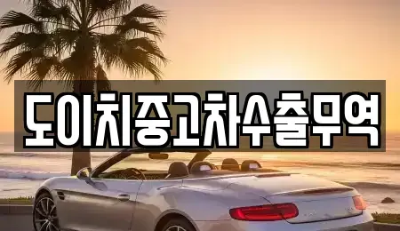 전라남도 완도군 신지면 중고차 전문 도이치중고차수출무역