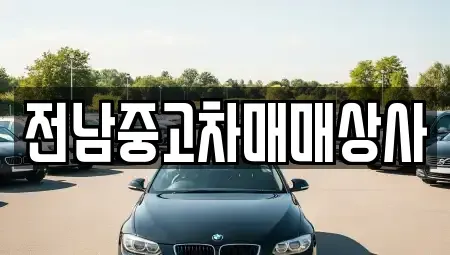 전라남도 완도군 신지면 중고차 전문 전남중고차매매상사