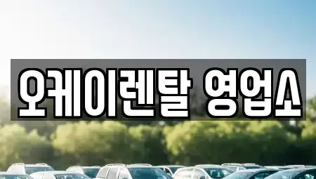 전라남도 함평군 학교면 렌트카 전문 오케이렌탈 영업소