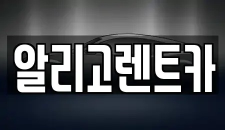 전라남도 화순군 단기렌트카 전문 알리고렌트카