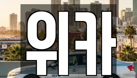 전라남도 화순군 장기렌트카 전문 위카