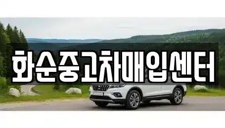 전라남도 화순군 중고차 전문 화순중고차매입센터