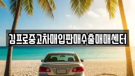 전라남도 화순군 중고차매입 전문 김프로중고차매입판매수출매매센터