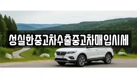 전라남도 화순군 중고차매입 전문 성실한중고차수출중고차매입시세