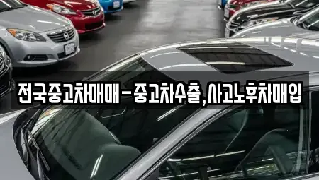 전북 군산시 신흥동 중고차매입 전문 전국중고차매매-중고차수출,사고노후차매입