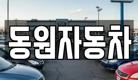 전북 남원시 이백면 중고차 전문 동원자동차